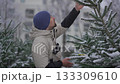 Snowfall over a Christmas tree farm, young man selects a pine among rows of trees, preparing for Christmas, capturing a cozy, magical, and traditional European winter scene 133309610