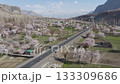 Aerial view of a serene village in Pakistan, adorned with blooming plum trees and framed by majestic mountains 133309686