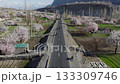 Aerial view of a serene road with motorbikes passing flanked by blooming plum trees in the mountains of Pakistan, capturing the tranquility of early morning 133309746