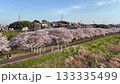 Drone aerial photography | The endless cherry blossom trees along the Tsurumi River | Beautiful riverside scenery in Japan 133335499
