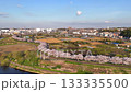 Aerial shot of a drone moving along a row of cherry blossom trees in full bloom | Vibrant spring scenery of the Tsurumi River 133335500