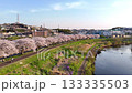 Spring in full bloom | Cherry blossoms and fresh greenery along the Tsurumi River | Beautiful Japanese scenery captured by a drone 133335503