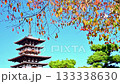 Yakushiji Temple East Pagoda in autumn 133338630