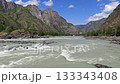Raging mountain river, Remote valley with swift flowing icy mountain stream, Untouched wilderness featuring rushing glacier waters through rocky canyon and towering pines Katun River, Altai 133343408