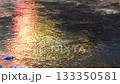 Autumn image: Autumn leaves reflected in the river 133350581