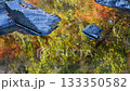 Autumn image: Autumn leaves reflected in the river 133350582