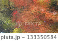 Autumn image: Autumn leaves reflected in the river 133350584