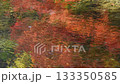 Autumn image: Autumn leaves reflected in the river 133350585