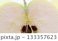 Gunma Harvest Moon Apple 133357623