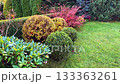 A vibrant, professionally landscaped garden in autumn featuring a plush lawn, diverse evergreens, a Fan Cotoneaster with red leaves, and clipped yellow Spiraea spheres for decorative contrast. 133363261