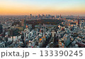 Time lapse of the cityscape of Tokyo's Meiji Shrine and Shinjuku area 133390245