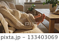 Close up of bare feet resting on a sofa under a white knitted blanket. Sunlight fills the cozy living room, evoking warmth and relaxation. Ideal for home comfort and lifestyle themes. 133403069