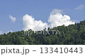 Time-lapse footage of pine, cedar, hornbeam forests and cloudy blue sky in spring. 133410443
