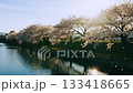 穏やかな川の流れと桜がある風景 133418665