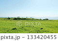 九總督崎縣五島列島野崎島的海洋和草原，從蚱蜢開始 133420455