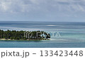 Palm trees along the coast with clear calm water and open sea horizon. Siargao, Philippines. Casa Desideria. 133423448