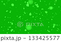 Soft Winter Snow Particles Falling with Depth of Field Against a Vivid Green Chroma Key Backdrop. 133425577