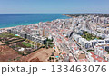 Wide cityscape view, Aerial perspective of coastline, Broad panoramic aerial photograph showcasing urban growth alongside picturesque Atlantic coastline and coastal infrastructure 133463076