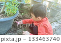 A child playing with a small shovel and gardening near plants. 133463740