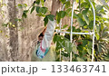An adorable Asian child tending to a climbing plant on a trellis 133463741