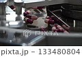 Slow motion scene the drug capsules on the conveyor belt after production process. The concept of pharmaceutical mass production process. 133480804