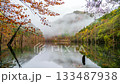 Timelapse of autumn leaves reflected on the surface of a natural lake before dawn 133487938