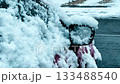 Snow covered car mirror and door during early winter weather 133488540