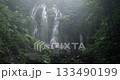Drone shot of a blonde woman when she stands and admires the view of a waterfall in Bali jungle 133490199