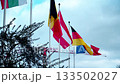 European flags blowing in the wind with cranes in background near Grenoble, France 133502027