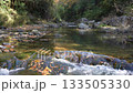 Clear Stream (Arashiyama Valley) 133505330