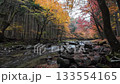 Autumn leaves of Tamoe River 133554165