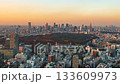 Time lapse of the cityscape of Tokyo's Meiji Shrine and Shinjuku area 133609973