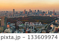 Time lapse of Tokyo's Meiji Shrine and Shinjuku area. Zoom out. 133609974