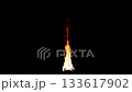 Abstract fast burning vertically fire seamless loop. Danger hot flame isolated on black background. 133617902