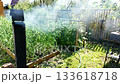 Ambient b roll soft smoke in sunbeams vegetable garden and fence in background peaceful country yard perfect backdrop for titles and presentations no people 133618718