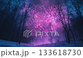 Deep blue and purple New Year's Eve fireworks light up a snow-covered forest in a mystical night sky 133618730