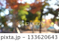 Autumn scenery with red leaves - out of focus image 133620643