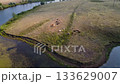Drone flight over cows on a pasture near a river bend. 133629007