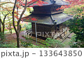 秋日高源寺三重塔 133643850