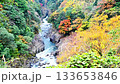 The Gokase River offers a spectacular view of autumn foliage. "The Mysterious Gorge Where Myths Come to Life: The Story of Takachiho's Autumn Foliage" (Takachiho Town, Nishiusuki District, Miyazaki Prefecture) The Gokase River offers a spectacular view of autumn foliage. "The Mysterious Gorge Where Myths Come to Life: The Story of Takachiho's Autumn Foliage" (Takachiho Town, Nishiusuki District, Miyazaki Prefecture) 133653846