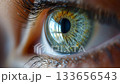 Close-up of the opening pupil of the iris of the human eye. Wide open human eye in real time. Female light green eye. the iris and pupil look into the distance. Cinematic. The iris narrows. 133656543
