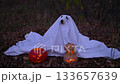 Jack Russell Terrier dog in a ghost costume for Halloween in the woods. 133657639