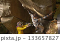 man rock climber climbs on overhanging boulder by it edges using wide hands grips, friends belay him. climbing outdoor in autumn forest on natural rocks. healthy active lifestyle, training outdoors. 133657827