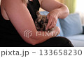 A close-up of a woman brushing her rabbit, ensuring its fur remains clean and healthy. This image captures the intimate connection between pet and owner, promoting the benefits of regular grooming for 133658230