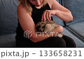 A rabbit snuggles against a woman s arm, with its head resting gently. The photo captures a tender moment of affection, emphasizing the calming effect of close contact between pets and their owners. 133658231