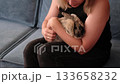 A close-up of a rabbit resting on its owner's lap, enjoying a moment of calm. This image captures the essence of pet care, reflecting the emotional connection and comfort pets bring into our lives. 133658232
