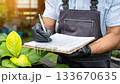 Gardening expert taking notes while inspecting healthy plants in a greenhouse during a sunny afternoon 133670635