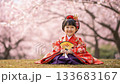 [Girls' Festival] A smiling girl in traditional Japanese clothing sits upright under a row of cherry blossoms in full bloom 133683167