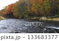 Hokkaido in late autumn - Autumn leaves flowing - Beautiful autumn scenery 133683377