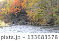 Autumn in Hokkaido - Autumn leaves flowing - Beautiful autumn scenery 133683378